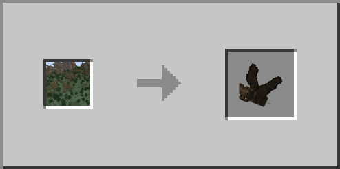 Windswept Forest->bat