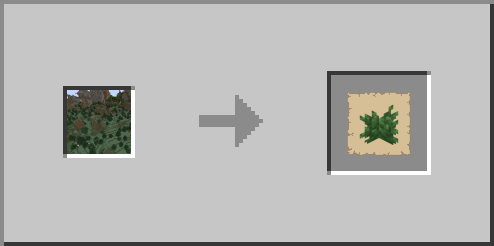 Windswept Forest->patch Bush