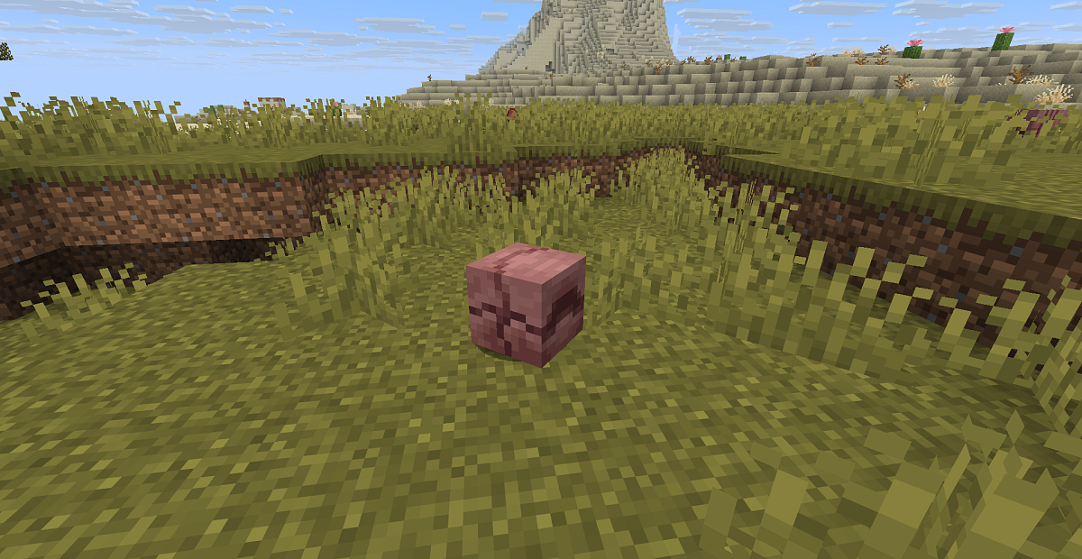 Screenshot #2:  Armadillo | Paxìfega Mob | Minecraft Łibro 