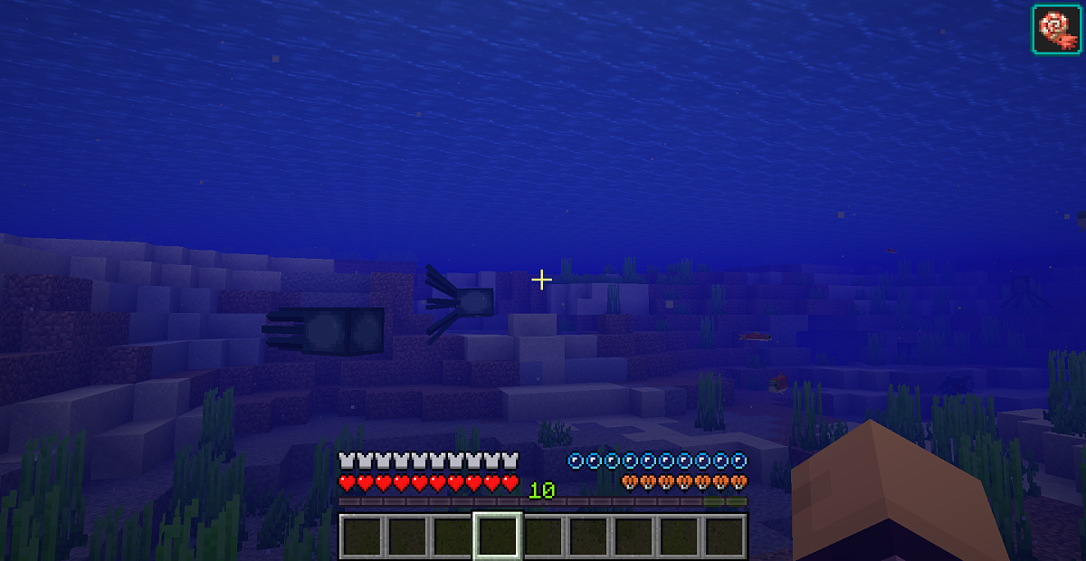 Screenshot #1:  Breath Of The Nautilus | Effects | Minecraft Livro 