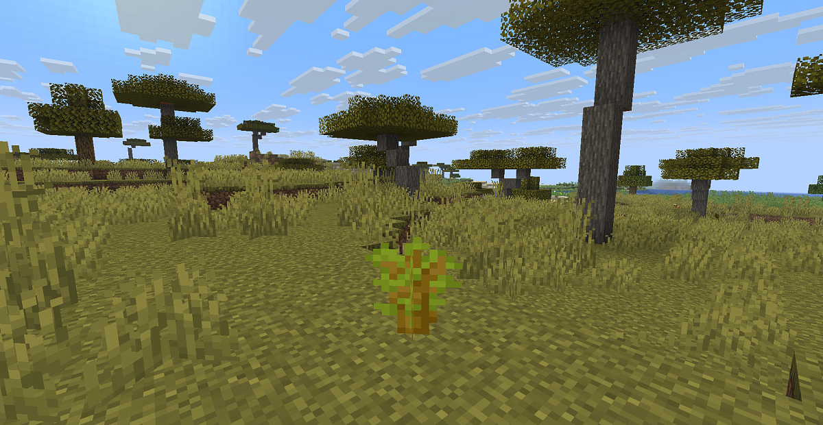 Screenshot #1:  Bibit Pohon Akasia | Saplings | Minecraft Buku 